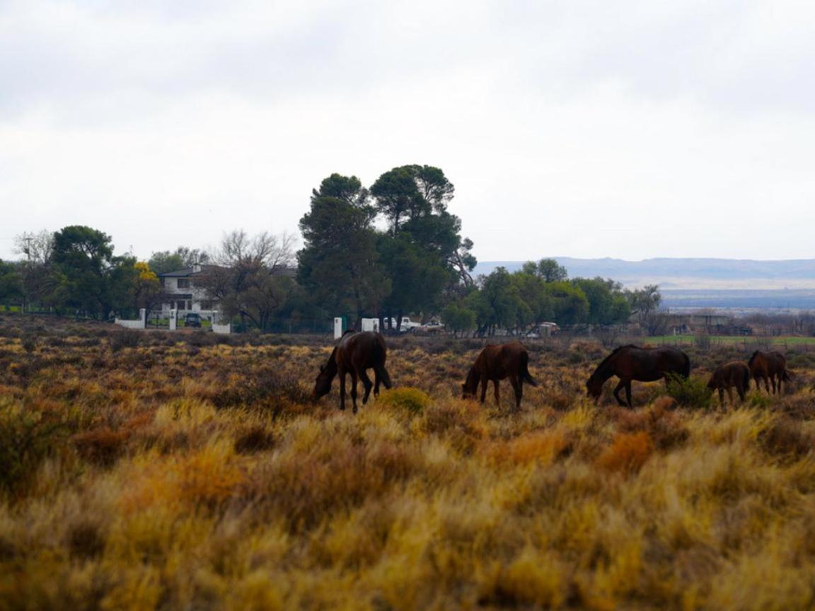 Dellville Country House & Cottages Carnarvon Luaran gambar